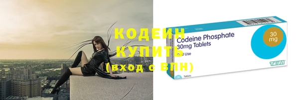 индика Пересвет