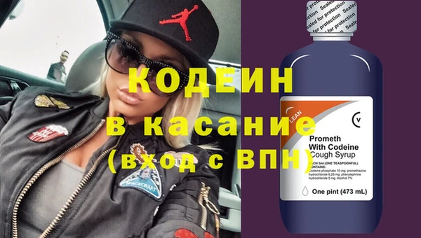 индика Пересвет