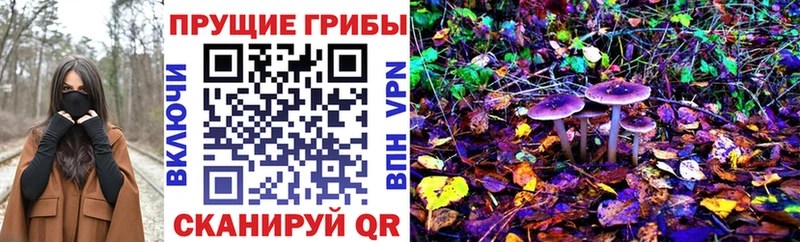 Псилоцибиновые грибы прущие грибы  Купить где  Егорьевск 